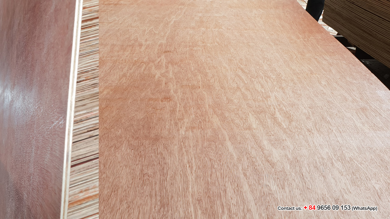 ván ép bao bì pallet plywood